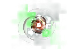 2014 11 16 The Great Game 027-white.jpg